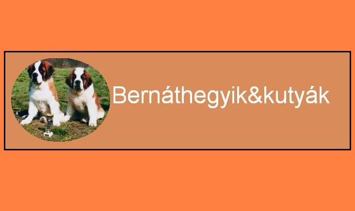 bernathegyianddogs